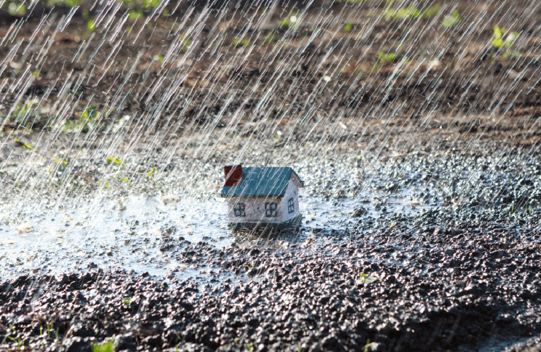 Moving house in the rain