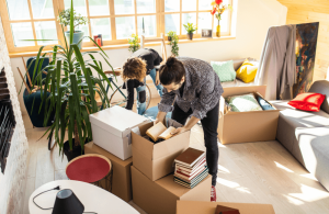 Packing moving lounge room (1)