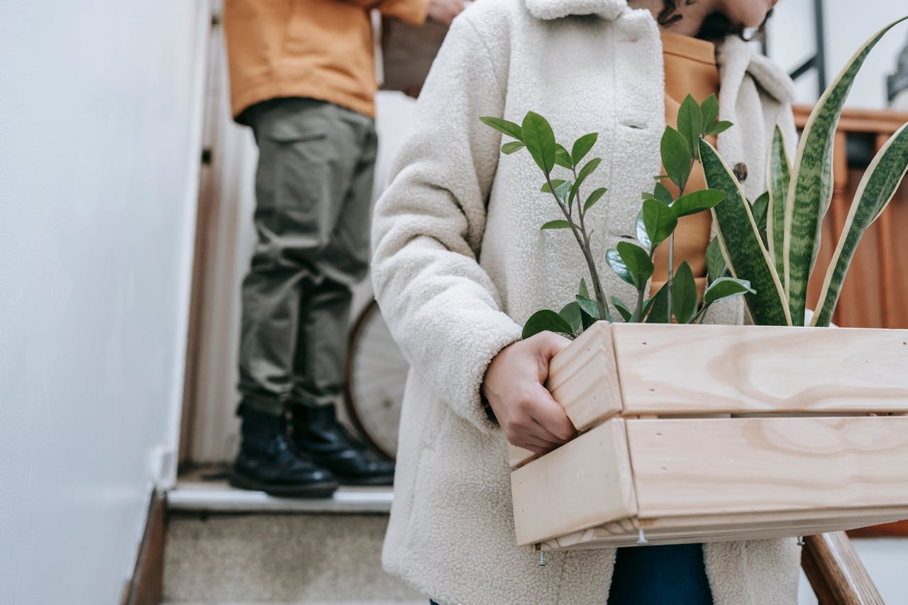 A woman holding a crate of plants with a man standing in the doorway behind her at the top of the steps.