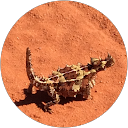 Juliet Aamodt profile picture